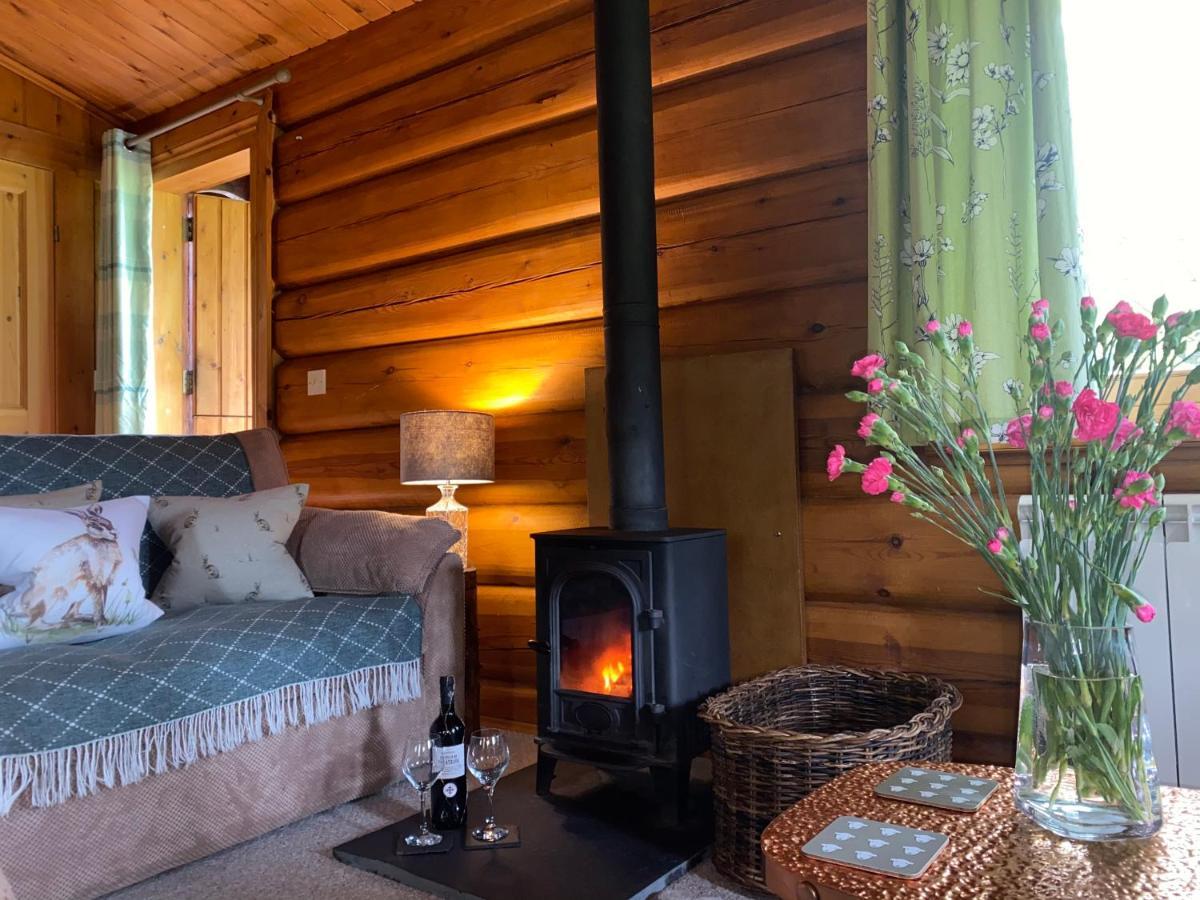 Log Village Lodge Ulverston