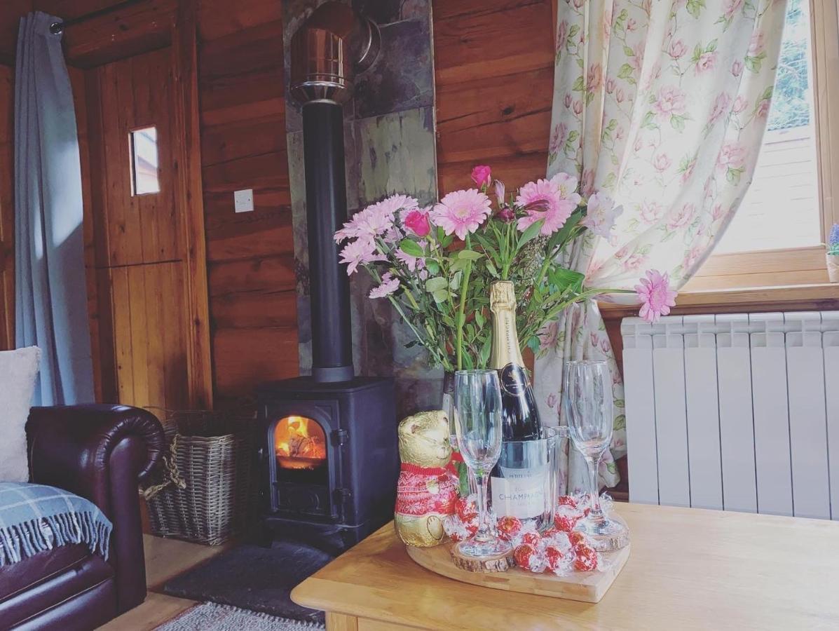 Log Village * Ulverston