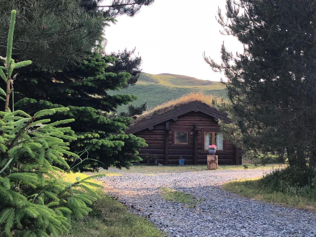 Lodge Log Village